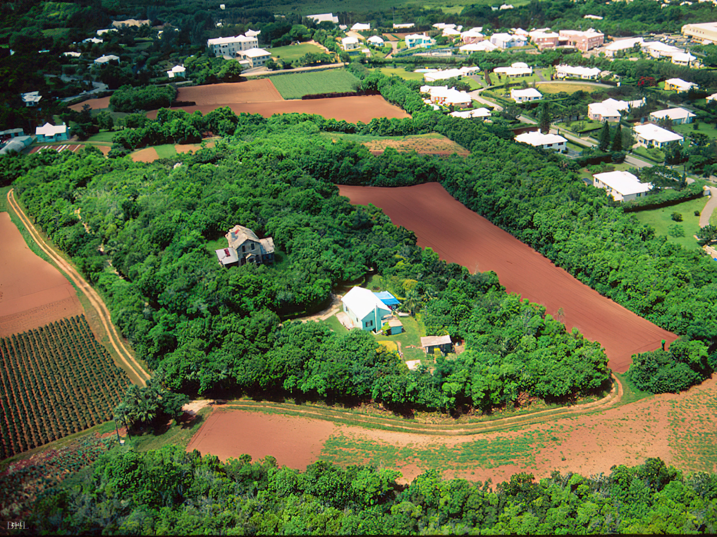 Locust Hall Farm, Devonshire Parish, Bermuda